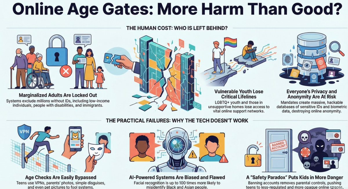 Analysis of Online Age Verification Mandates
