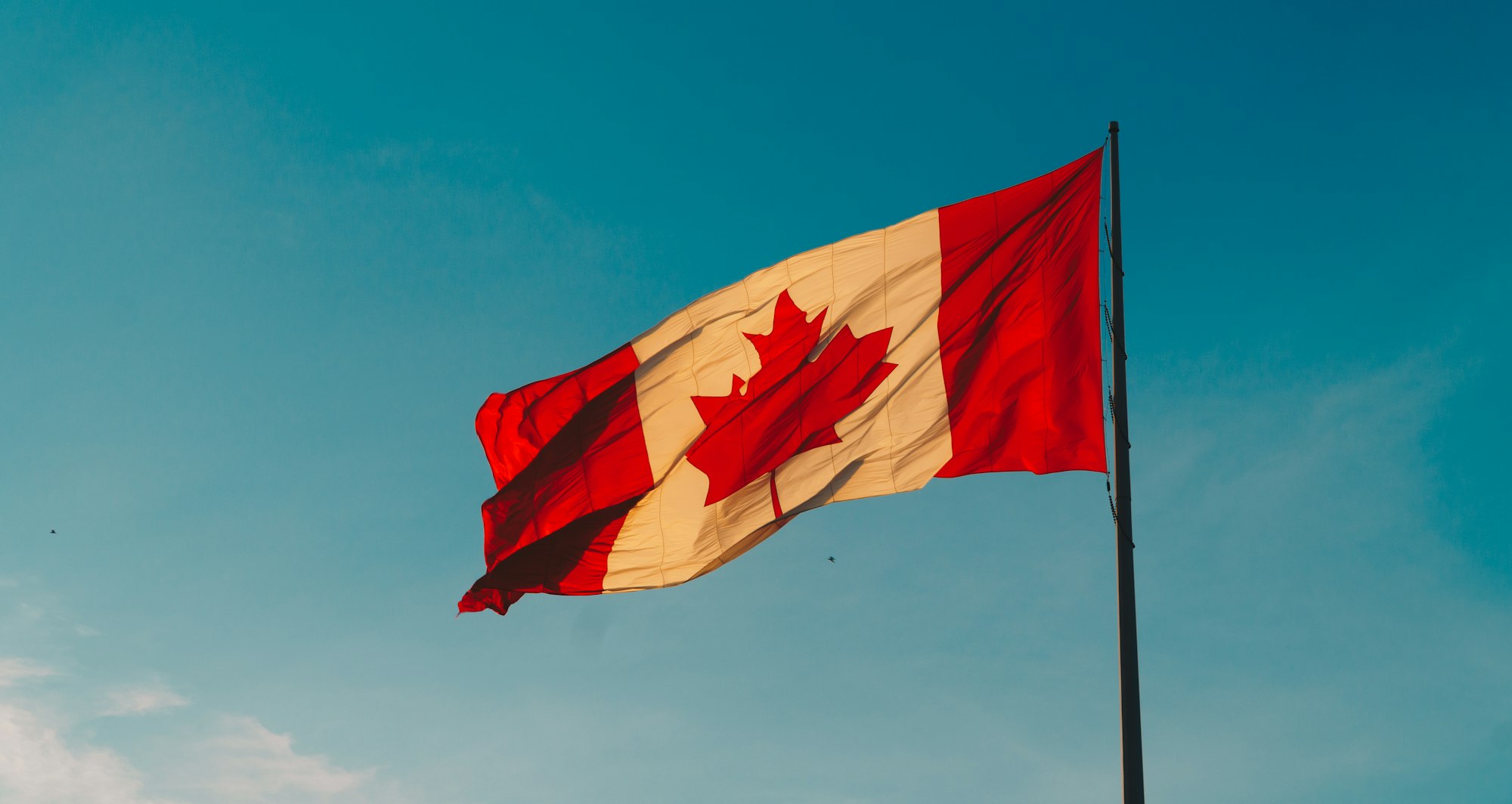 Policy Briefing: The Evolution and Current Landscape of Censorship and Information Control in Canada