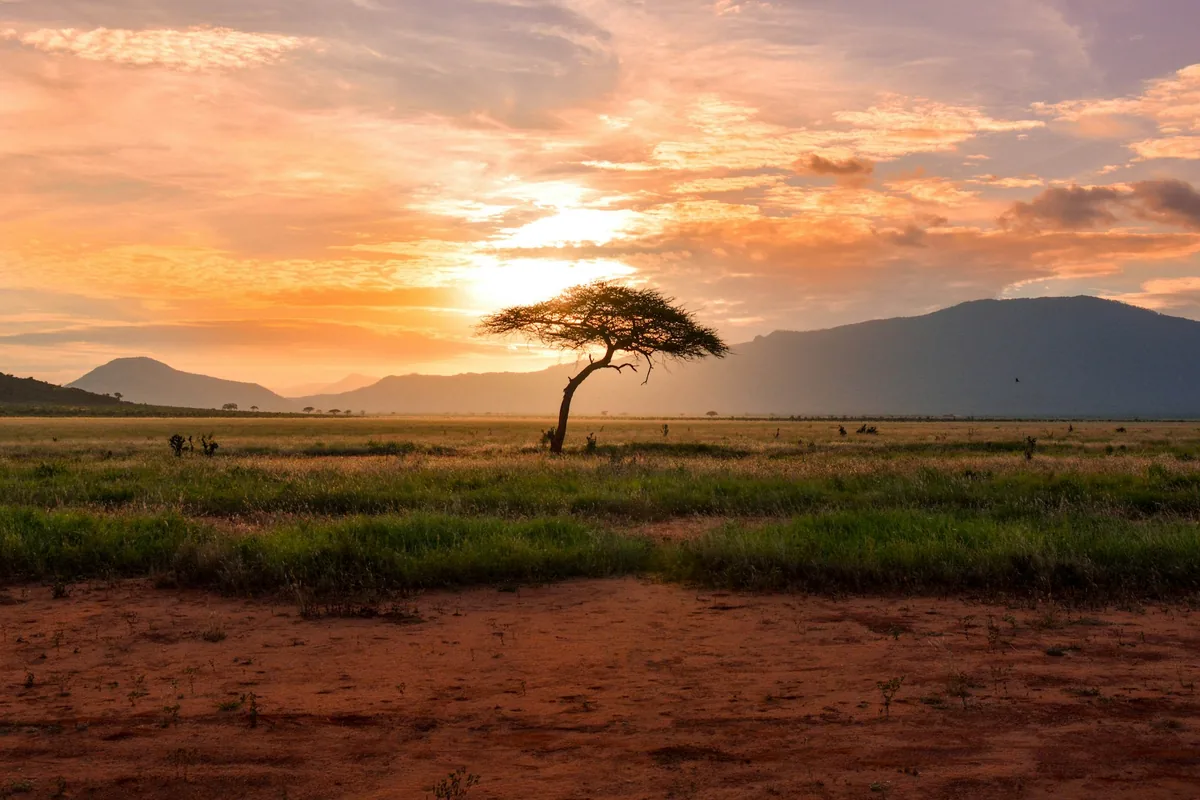 Navigating the AI Landscape: Compliance Considerations in India and Africa