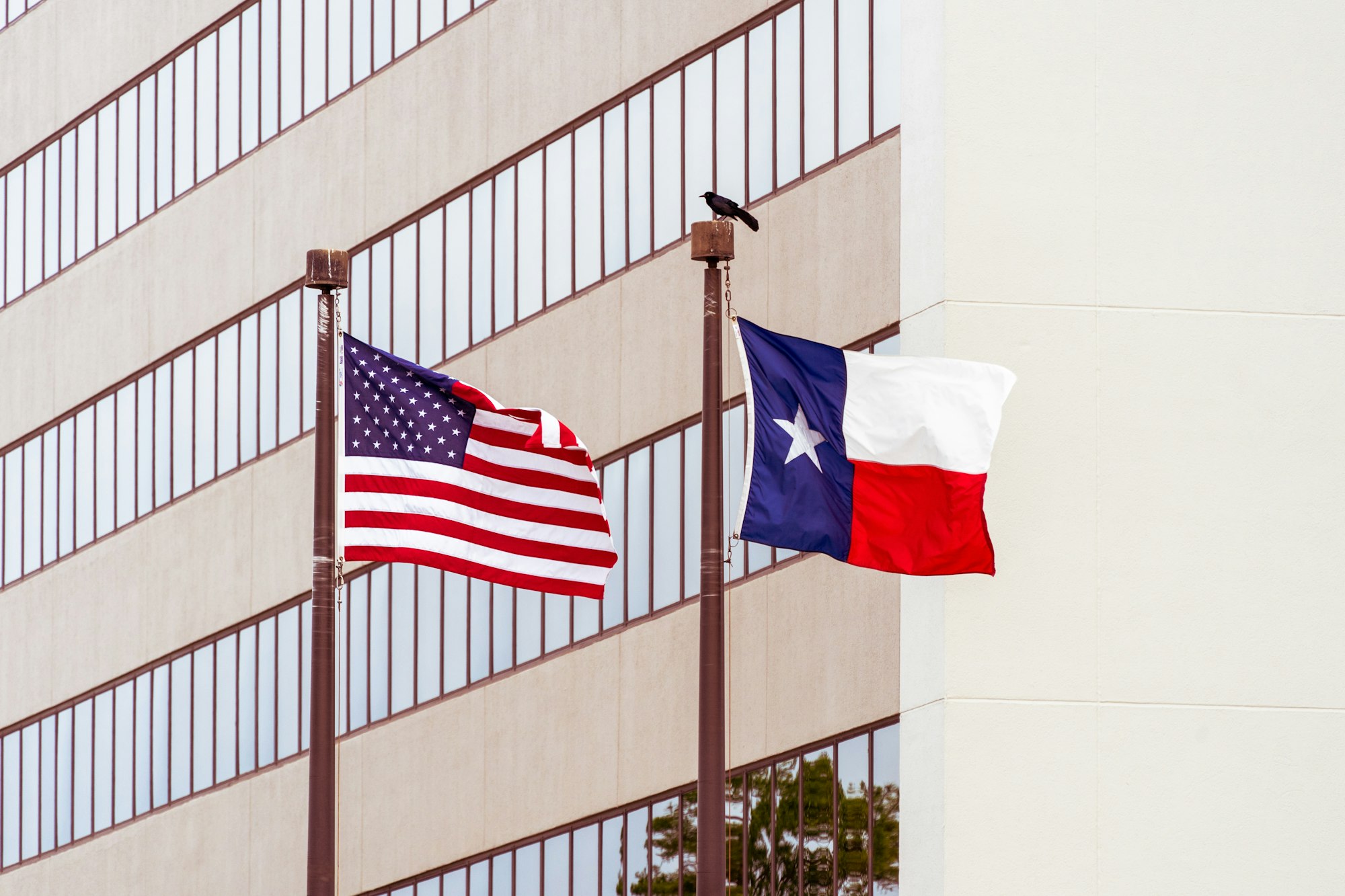 Texas App Store Age Verification Law Faces Legal Challenges: What Compliance Teams Need to Know