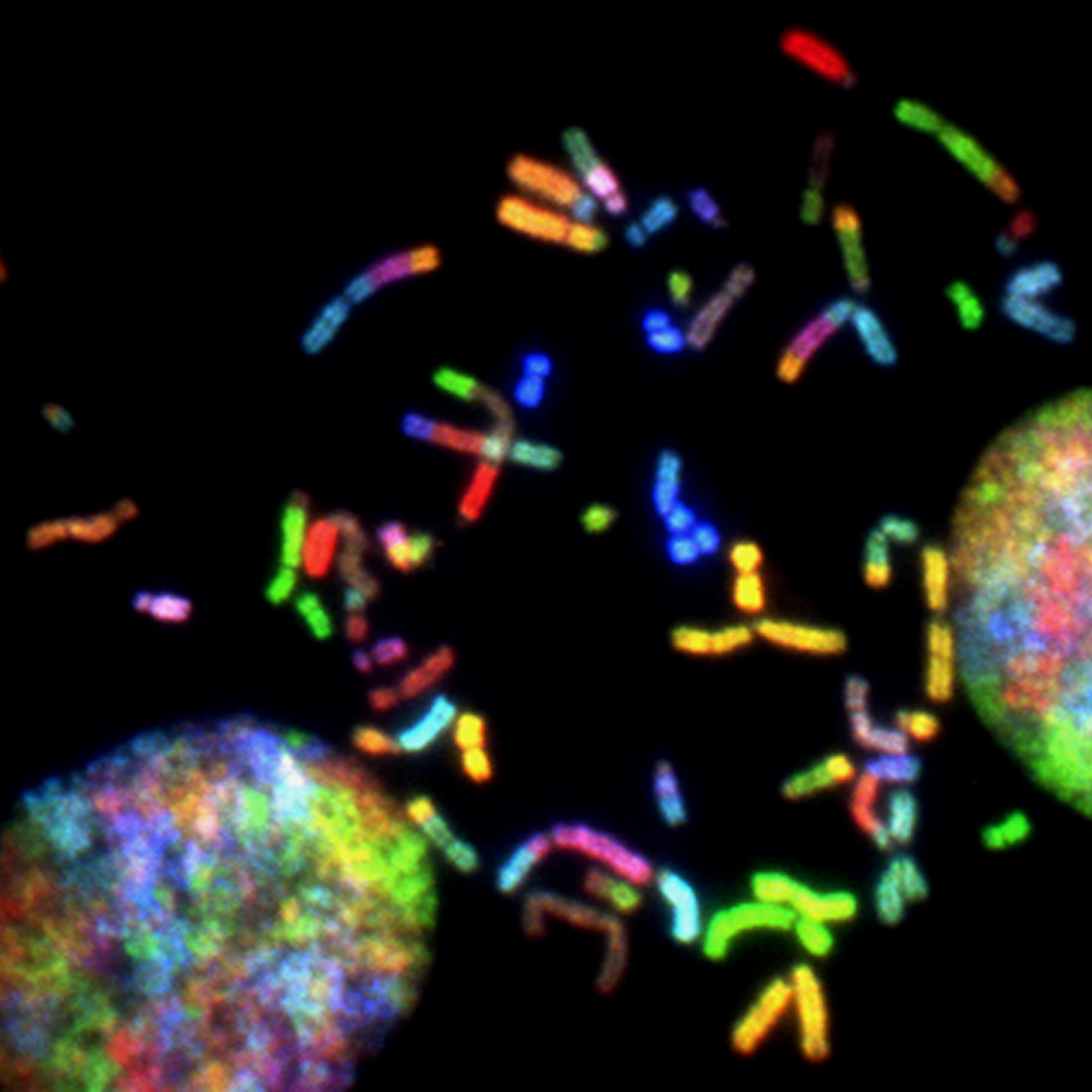 The Asper Biogene Case: Why GDPR's DPO Independence Requirement May Be Pointless in Practice